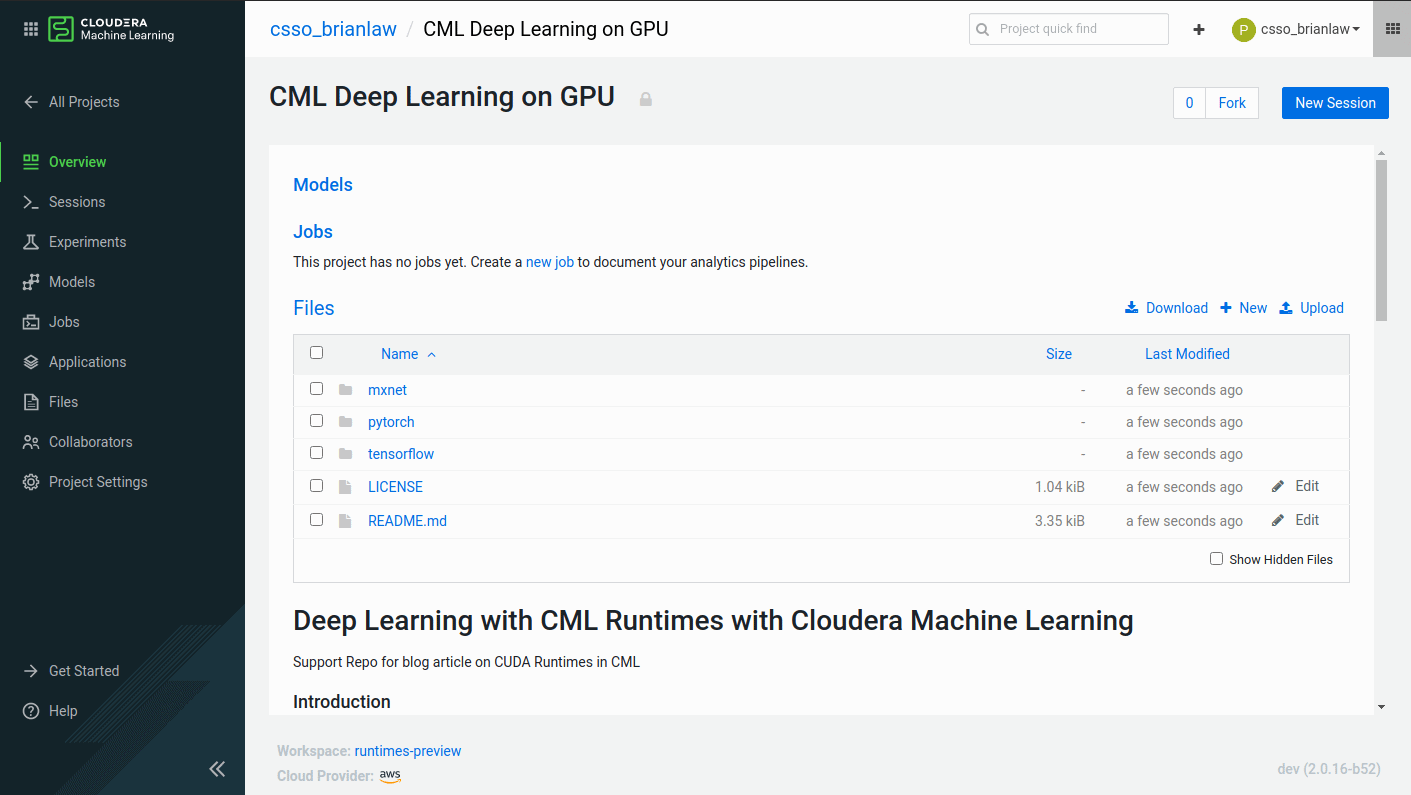 CML Deep Learning GPU Project Page